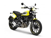 Flat Track Pro For Sale